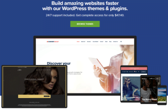  CSSIgniter – WordPress themes
